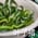 Bowl of Seaweed Salad.jpg