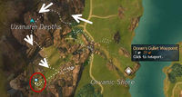 Trek Orvanic Sourcewaters Location.jpg